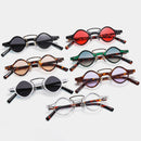 Primmor S009 Glasses