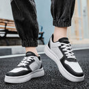 Primmor Lace Sneakers 